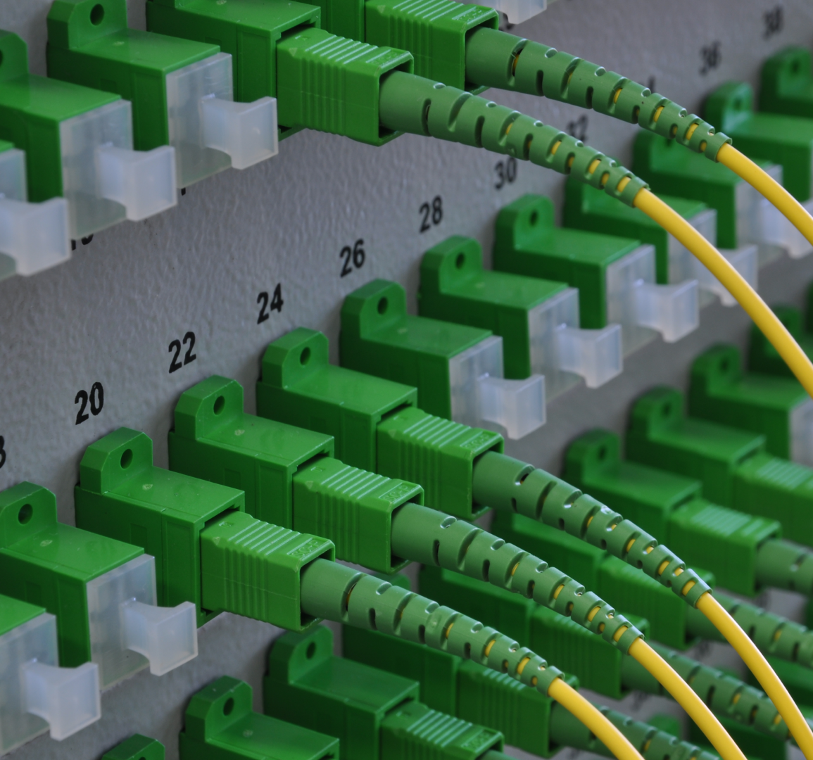 Optical fiber cables connected to distribution panel.