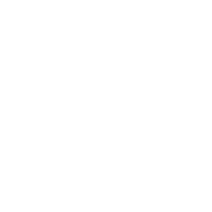 Shield icon with cross design.