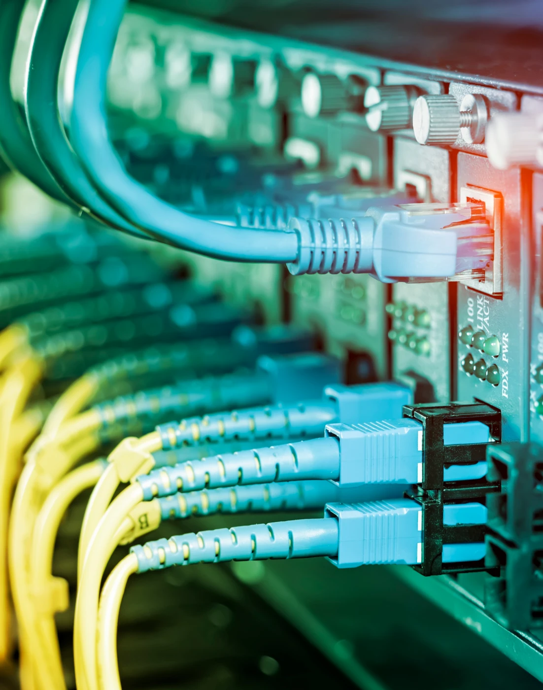 Network cables connected to a server panel.