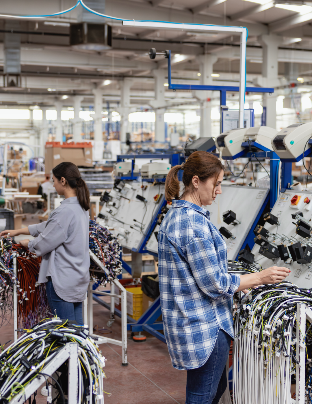 Women working in a cable manufacturing factory.
