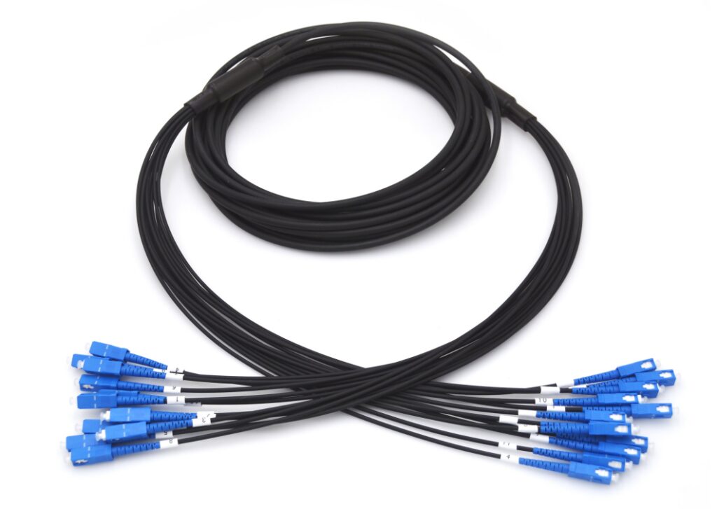 Fiber optic cables with blue connectors.