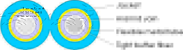 e2dafced-40fa-41b1-a359-7f80dde453a3