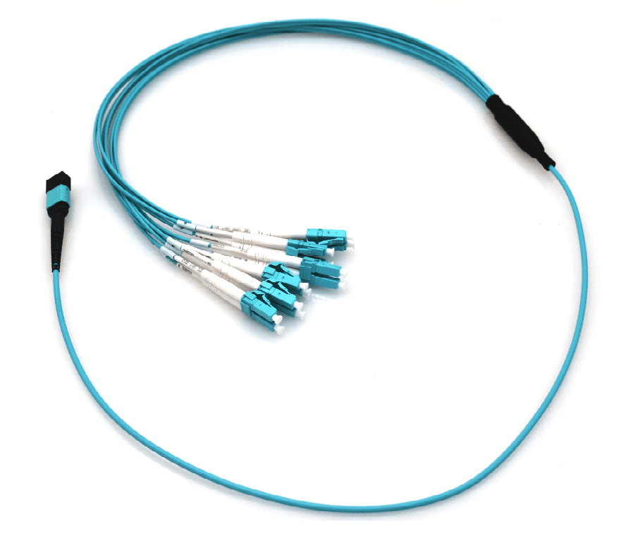 Blue fiber optic patch cable with connectors.