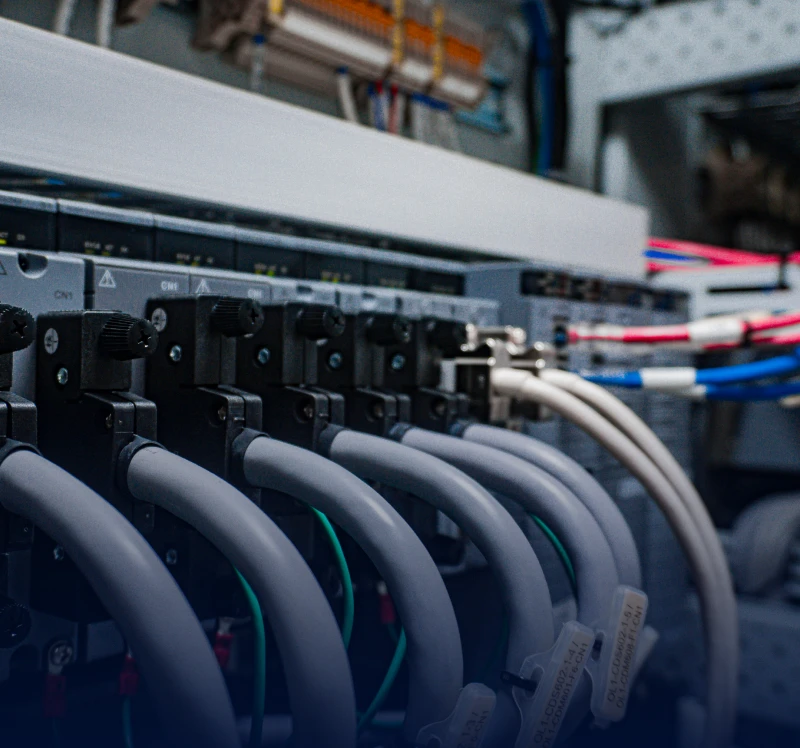 Network cables connected to a server rack.